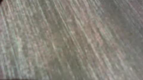 subnoass online show from September 17, 1:03 pm