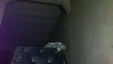 Snapshot of sunnyjohn447 chatting on September 21, 2:43 pm Sunnyblack2 online show from September 21, 2:43 pm