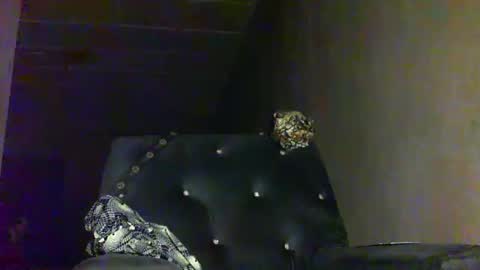 Snapshot of sunnyjohn447 chatting on September 30, 8:47 am Sunnyblack2 online show from September 30, 8:47 am