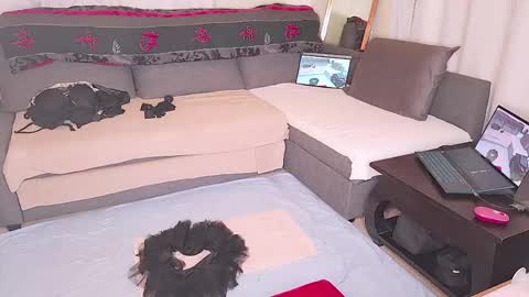 Sunshine online show from April 18, 1:46 pm