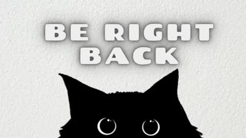       Independent model online show from February 27, 8:02 am