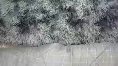 Snapshot of sweetnipples1987 chatting on September 20, 11:19 pm sweetnipples1987 online show from September 20, 11:19 pm