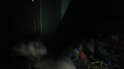 sweetpussylicks online show from February 7, 7:29 am