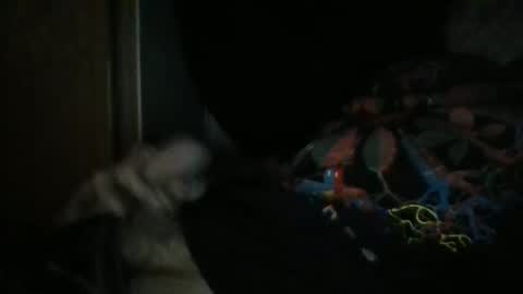 sweetpussylicks online show from December 29, 8:55 am