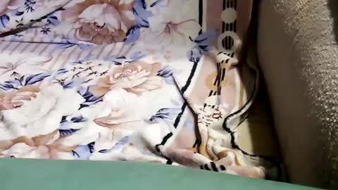 sym253lov online show from December 3, 2:00 pm