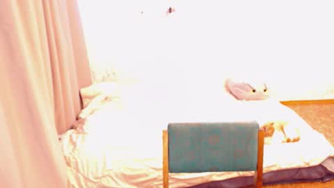 SyrenDixon online show from October 28, 9:10 am