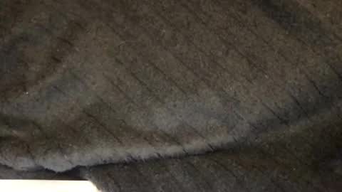 tasteithorny online show from December 21, 8:21 am