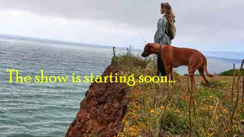 TATUM  ALL MY LINKS  online show from November 1, 11:15 pm