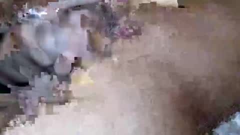 tayvar online show from January 13, 12:51 am