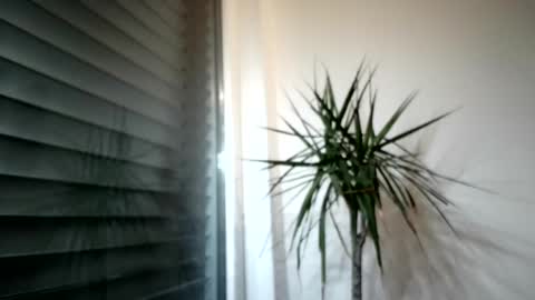 tger2024 online show from November 3, 3:57 pm