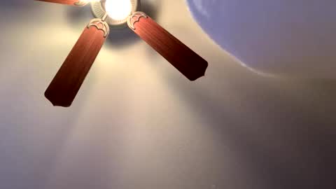 Snapshot of th372019 chatting on February 18, 12:05 am country cock 2020 online show from February 18, 12:05 am