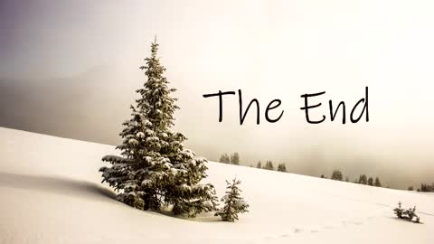 thedome372 online show from March 3, 10:42 pm