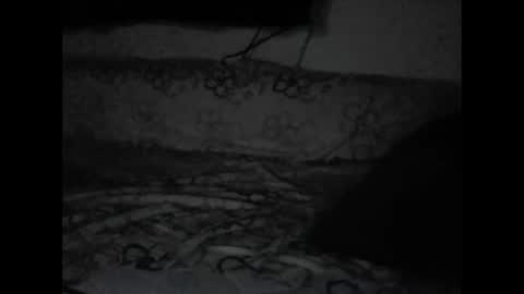 thedudnextdoor online show from October 15, 2:15 am