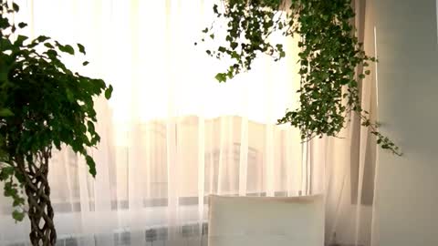 Madison online show from March 9, 5:01 am