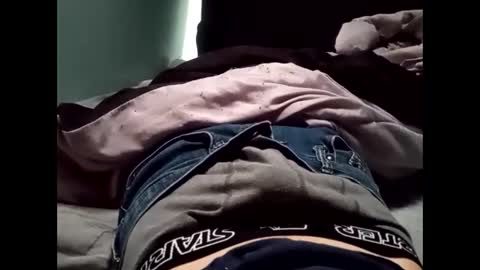 theturtleshead online show from January 23, 11:05 pm