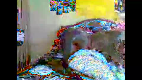 thickassvillageebony online show from October 19, 11:26 am