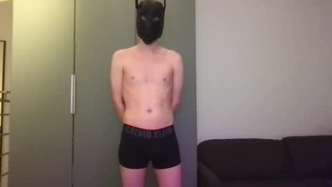 Pieter online show from May 10, 8:26 pm