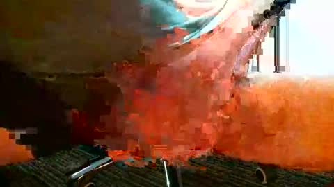 Thumper online show from January 16, 8:45 am