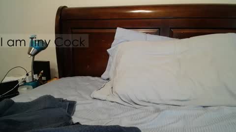 tinycock_1979 online show from February 26, 2:20 pm