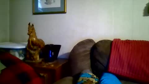 Vols online show from January 8, 9:42 pm