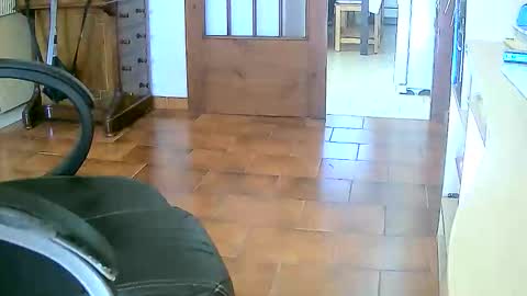 Tobiko online show from January 10, 2:22 pm