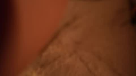 Snapshot of tollysage chatting on October 19, 12:48 am Sage. TG channel online show from October 19, 12:48 am