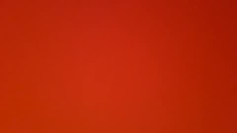 tomtom0505 online show from December 9, 4:26 pm