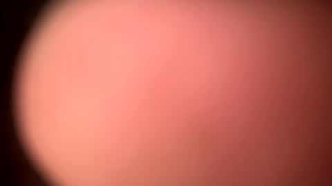 Snapshot of toneda chatting on September 11, 10:16 am toneda online show from September 11, 10:16 am