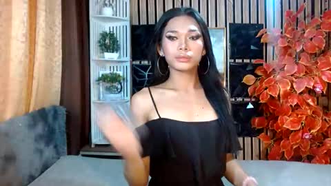 toptrans venice online show from February 24, 10:46 pm