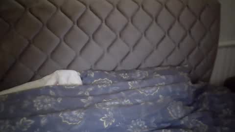 torrino12 online show from January 6, 3:20 am