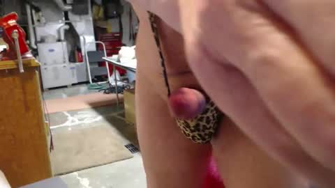 toydoc103 online show from April 27, 9:18 am