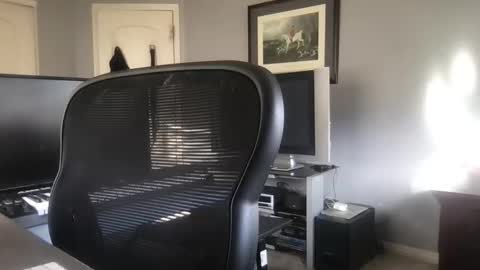 HusbandShamner online show from October 10, 3:29 pm