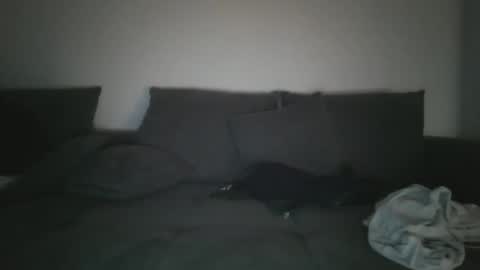 Tim online show from December 16, 5:43 pm