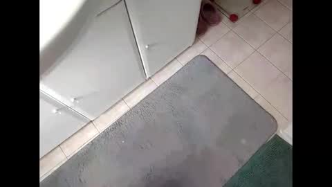 tra649167 online show from March 10, 11:45 am