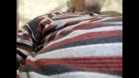 tra649167 online show from February 9, 8:02 pm