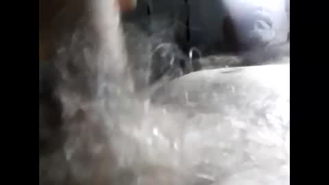 tra649167 online show from February 27, 10:09 pm