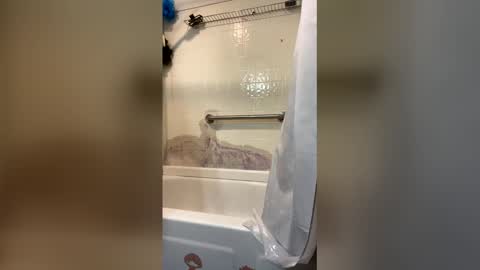 travis502671 online show from March 22, 11:47 am