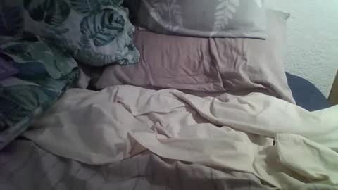 tri4f38 online show from November 17, 8:28 am