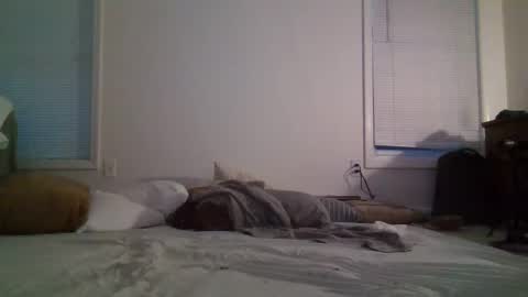 trickquestion online show from February 8, 11:44 am