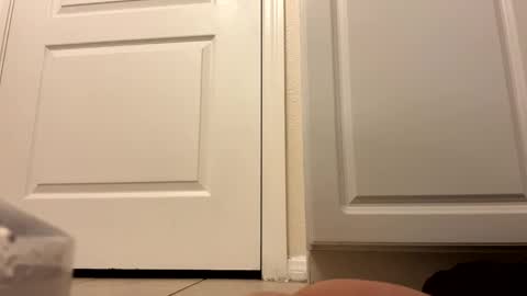 trickydick6 online show from March 22, 4:33 pm