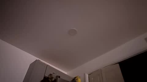 Trippsgotlips online show from April 24, 3:30 am