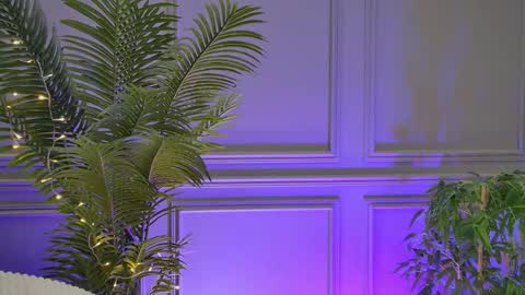 trisha_winslet online show from January 10, 6:08 am