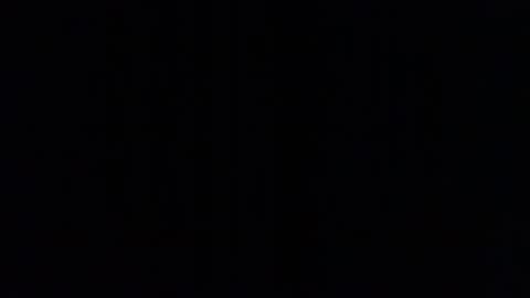 trobelle online show from November 28, 3:30 pm