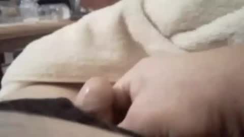 trucker9296 online show from November 17, 9:17 pm