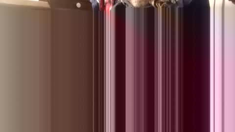 trypodman online show from December 11, 4:31 pm