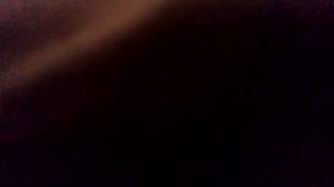 ttimmyt online show from November 12, 10:50 am