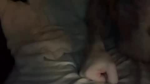 Snapshot of tuhands chatting on October 28, 7:20 am Tuhands online show from October 28, 7:20 am