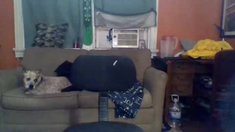 Snapshot of turnmetrans chatting on December 4, 5:43 am Turnmetrans online show from December 4, 5:43 am