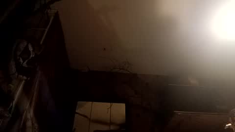 TwistedBlizzy online show from December 3, 12:13 pm