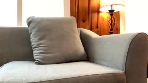 Tyler Sands online show from February 23, 1:42 pm